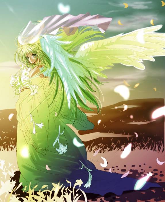 Peaceful ....jpg